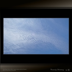 dailyPhoto33